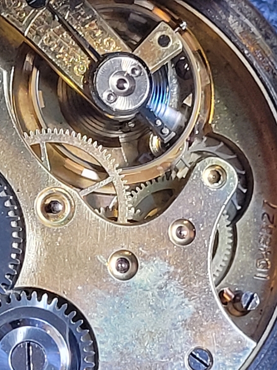 20230312_110004.jpg