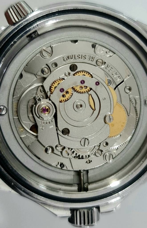 20230316_091220.jpg