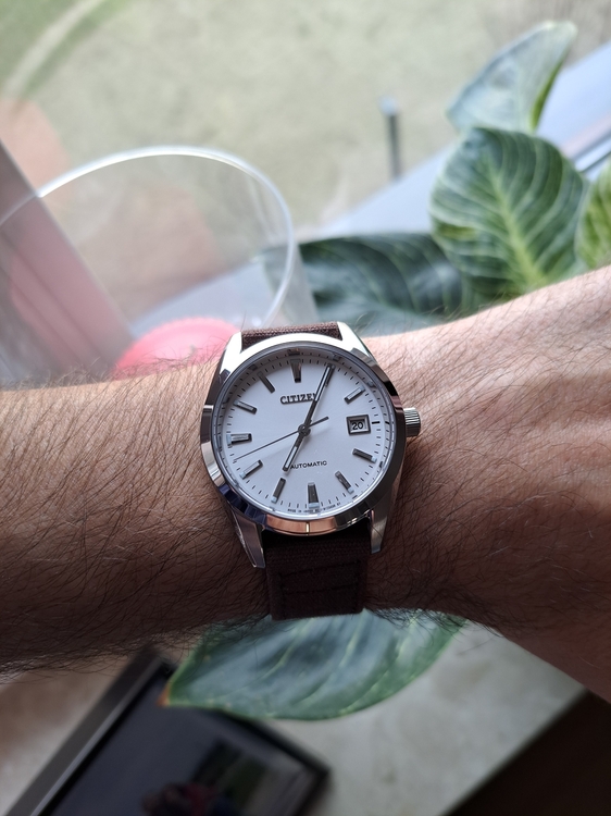 20230320_070549.thumb.jpg.a4f9e7320f03753d207cb493ec78d351.jpg