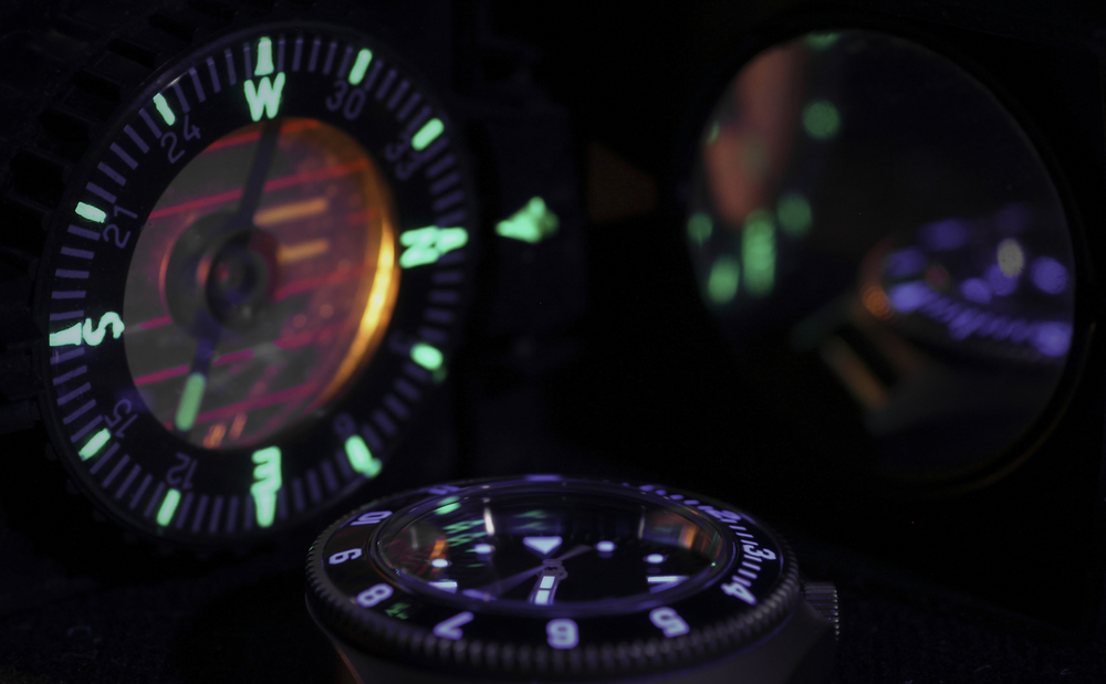 paradive compass expr.jpg