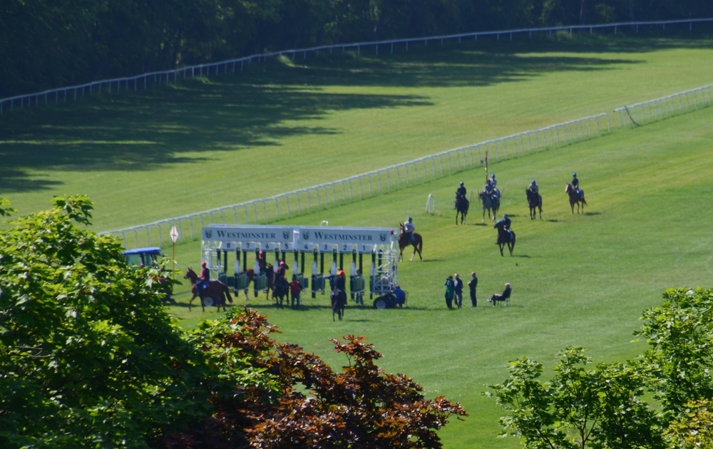 Tor - dopasowany.jpg