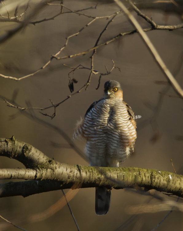 Zrzut ekranu 2023-06-7 o 23.12.11.png