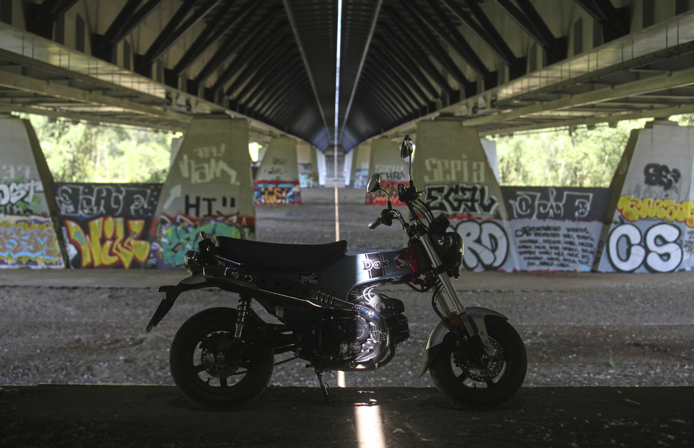 Dax under the bridge.jpg