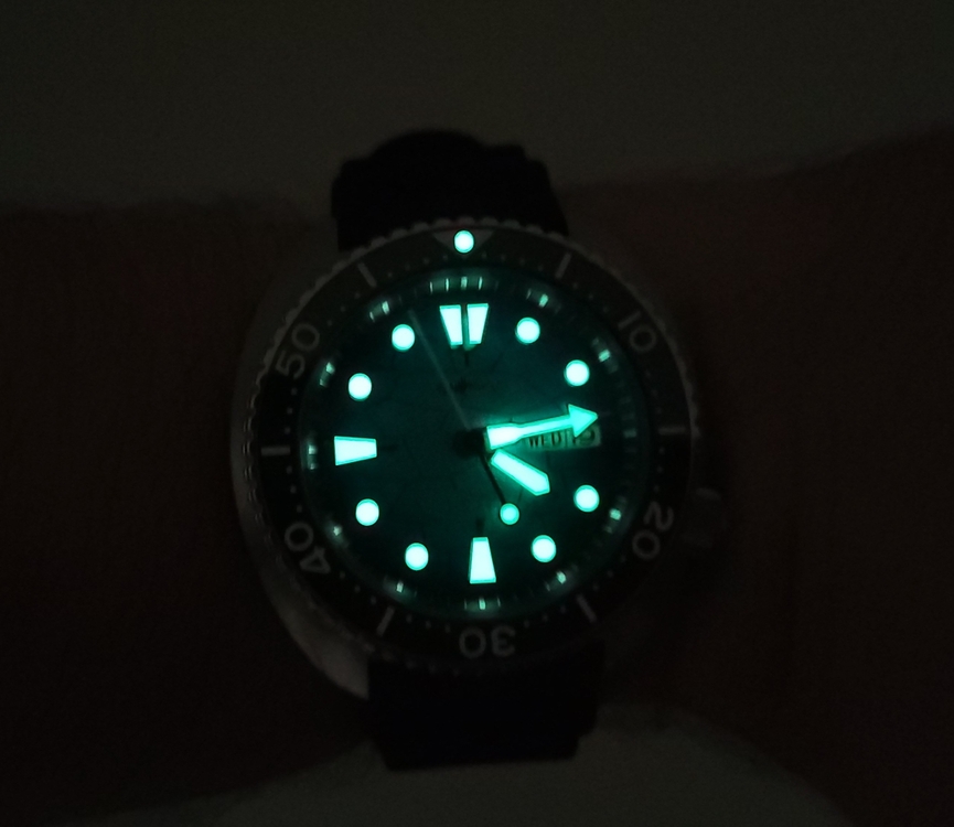 20230719_161455.jpg