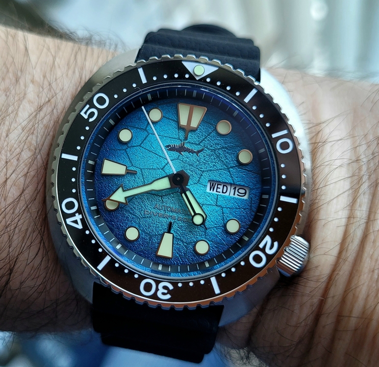 20230719_164154.jpg