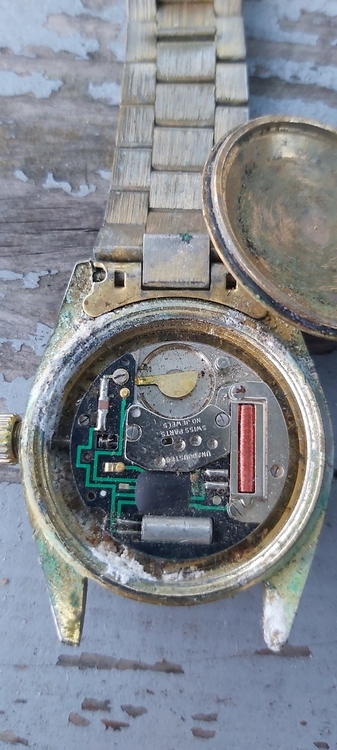 20230813_195104.jpg