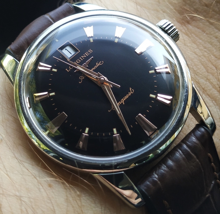 IMG_20230901_113214.f1 LLL.jpg