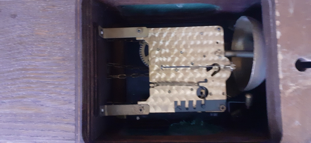 20230928_102621.jpg