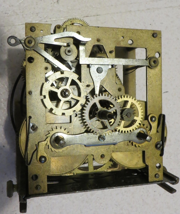 IMG_9370-crop (Copy).JPG