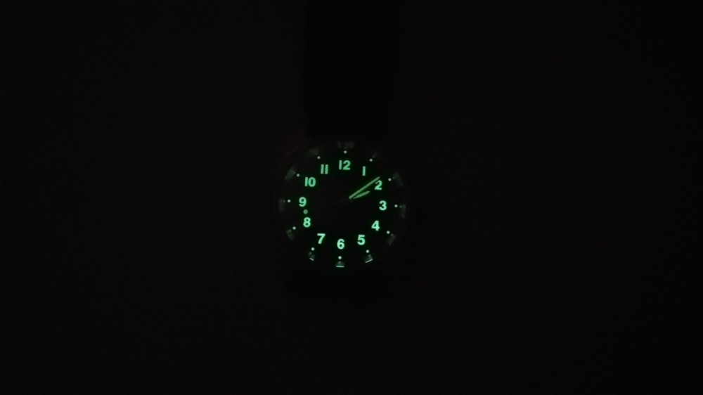 IMG_20230911_101226.jpg