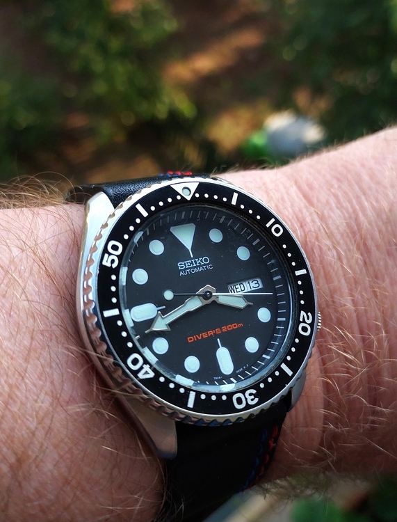 skx11313.thumb.jpg.deb4a8581551366f854165d33d1ab66a.jpg
