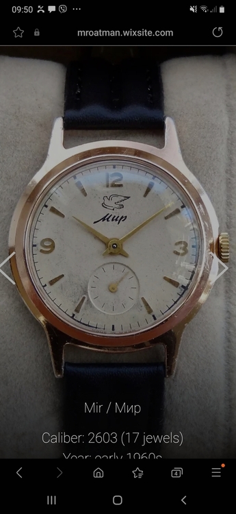 Screenshot_20231005-095042_Samsung Internet.jpg