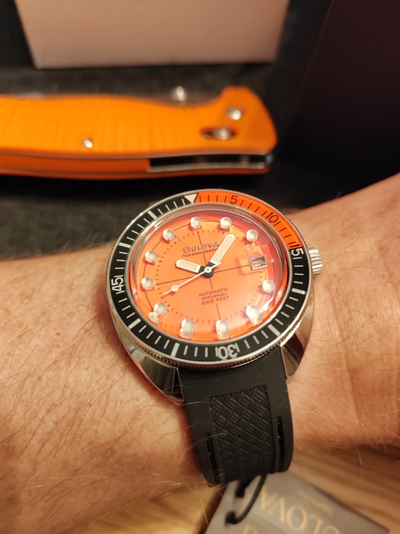 IMG_20230920_204517.jpg