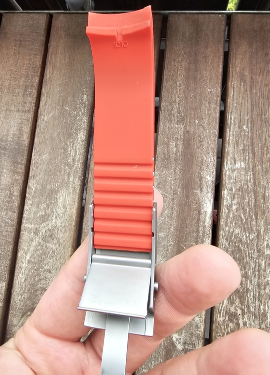 20240123_131117.jpg