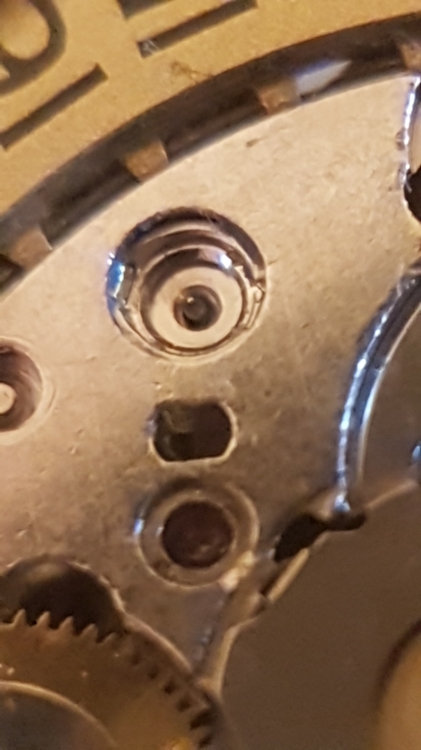 20240124_212027.jpg