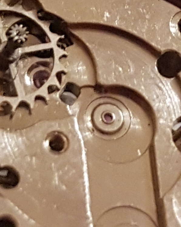 20240125_061354.jpg