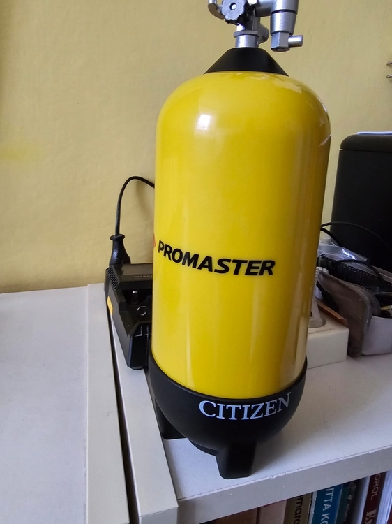 Zdjęcie WhatsApp 2024-01-26 o 14.04.34_fef0f08d.jpg