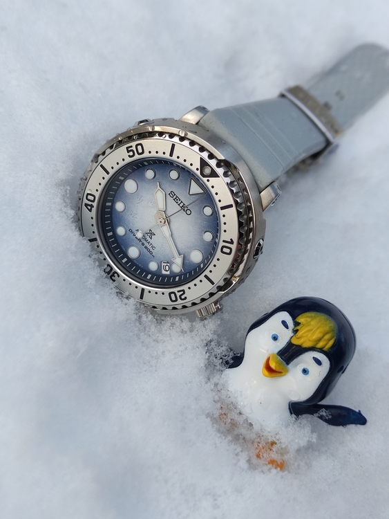IMG_seiko i pingwin ;).jpg