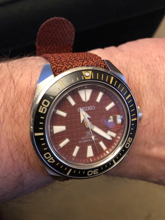 419932747_1033340561230733_2329441927139186003_n (1)2.jpg