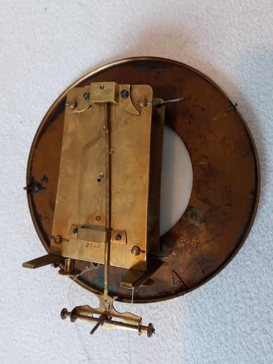 425824193_7163195337091908_4041229704882502354_n (1).jpg