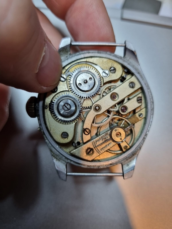 Zdjęcie WhatsApp 2024-03-03 o 19.38.03_fb3d86f2.jpg