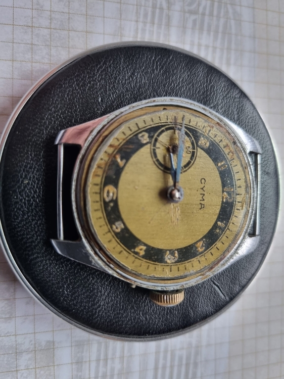 Zdjęcie WhatsApp 2024-03-03 o 19.38.01_267b2c01.jpg