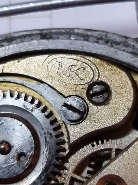 Zdjęcie WhatsApp 2024-03-03 o 19.38.04_6bac8e88.jpg