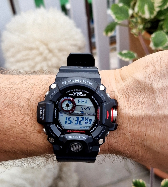 20240524_153208.jpg