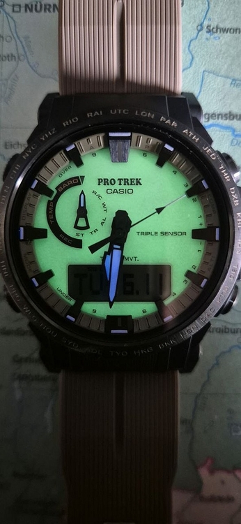 Casio Pro Trek1.jpg