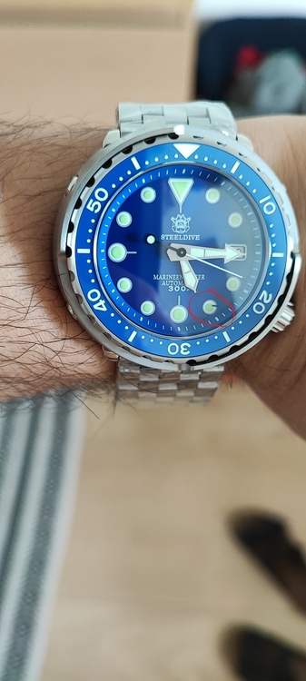 PAPROCH TUŃCZYK.jpg