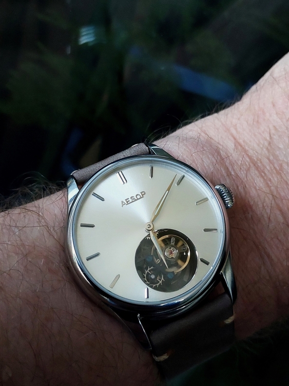 aesop06.thumb.jpg.673d3e330efeb3994c808f8a51f97387.jpg