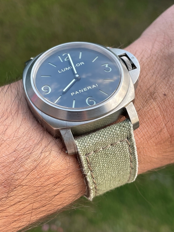 Pam176_3.jpg