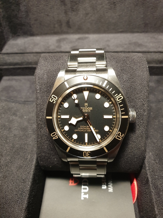 Tudor_225500.jpg