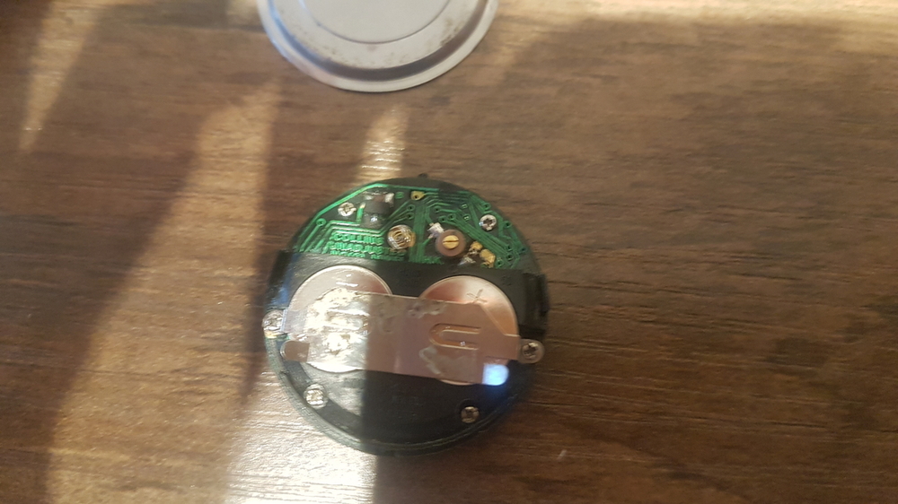 20240928_104724.jpg