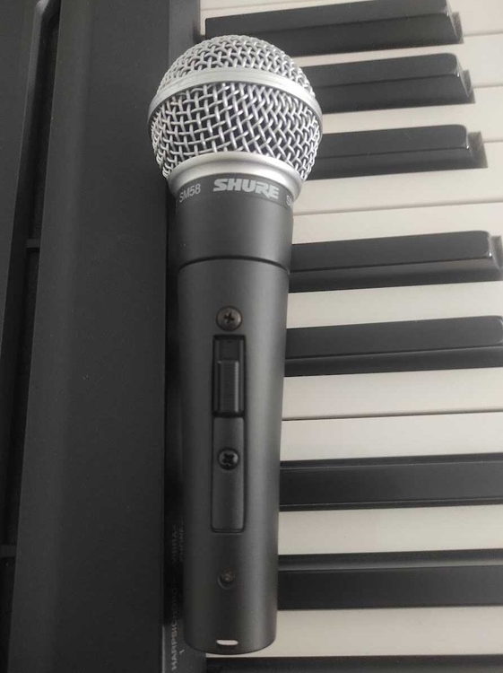 Shure-SM58-SE-rotated.jpg