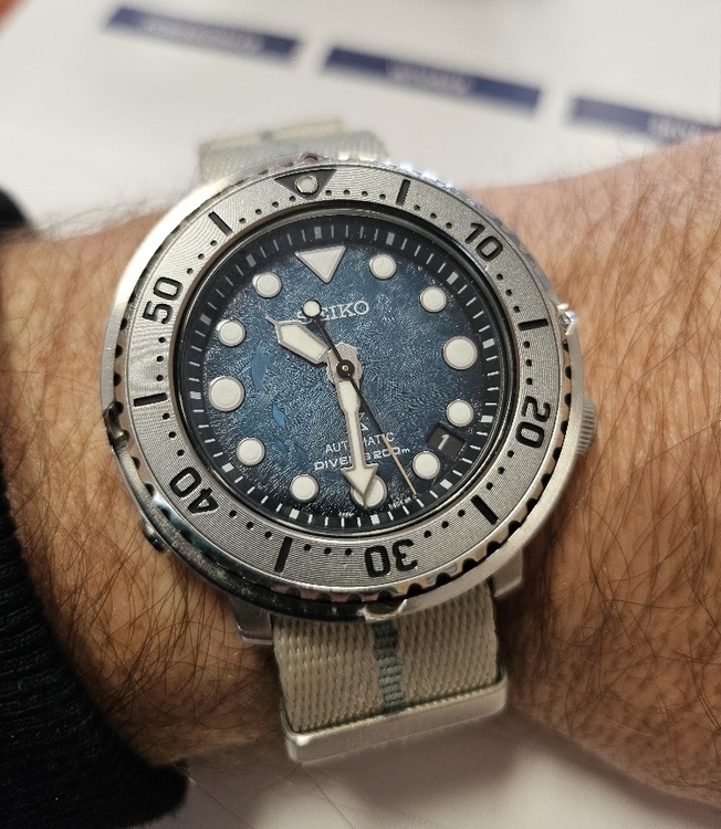 seiko_savetheocean.jpg