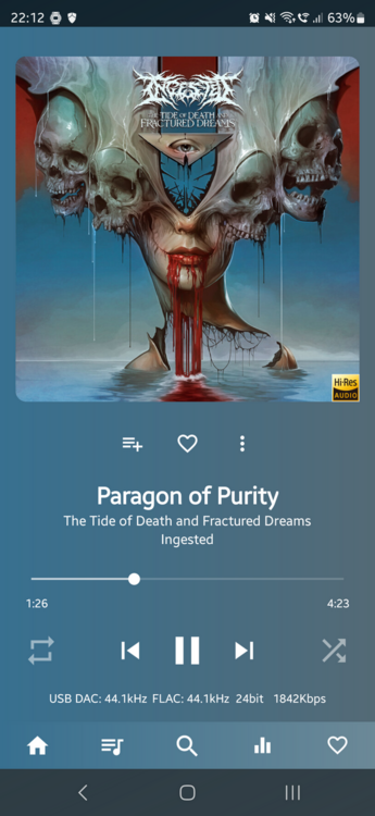 Screenshot_20241112_221213_USB Audio Player PRO.png