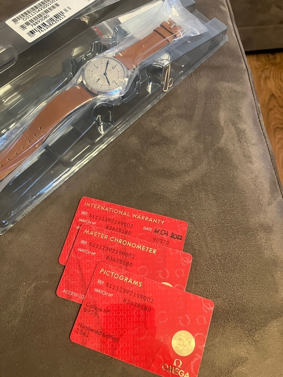 WhatsApp Image 2024-12-01 at 15.35.17.jpeg