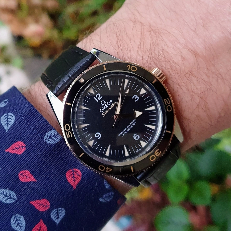 20241014_160856 Copy Copy.jpeg