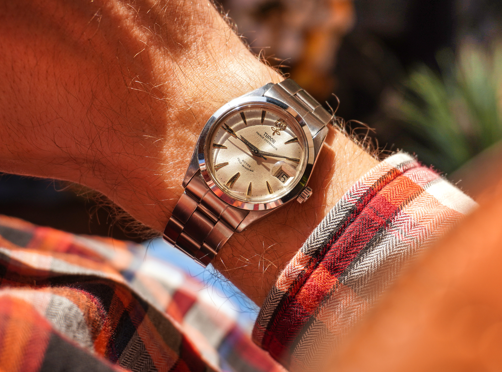 large.41-2.jpg.33956bc8bece8fce7e3c61bb3