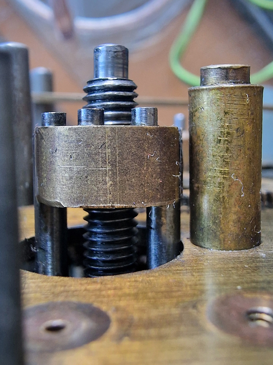 śruba mera poltik.jpg