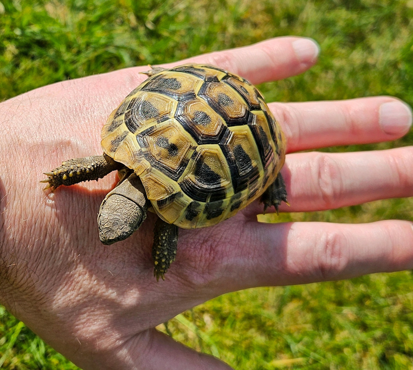 20250420_143303 (1).jpg