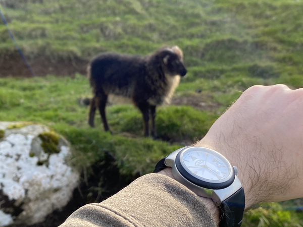 Muhle Glashutte SAR na Wyspach Owczych