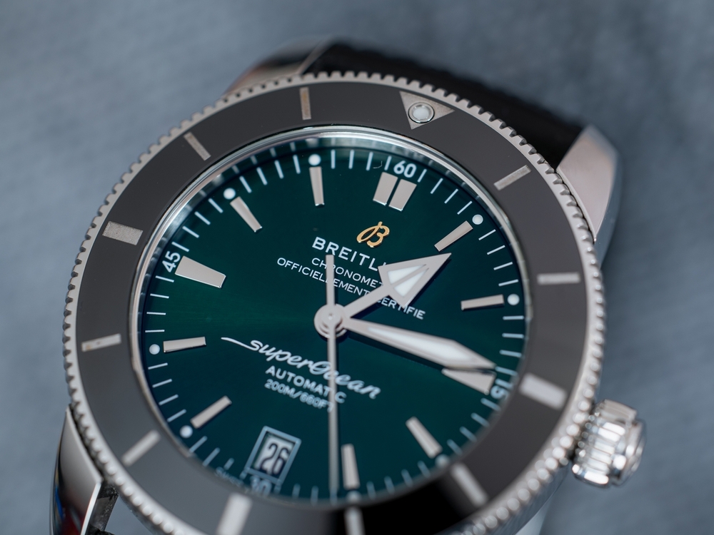 IMG_6310 6000 x 4000 Full.jpg