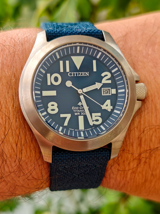 IMG_20250819_142703 (1).jpg