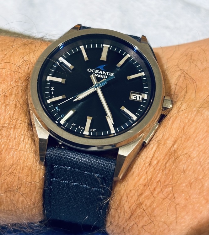 Casio_Oceanus_pasek.thumb.jpeg.4c812a9820e2b0eba397a26c422f8645.jpeg