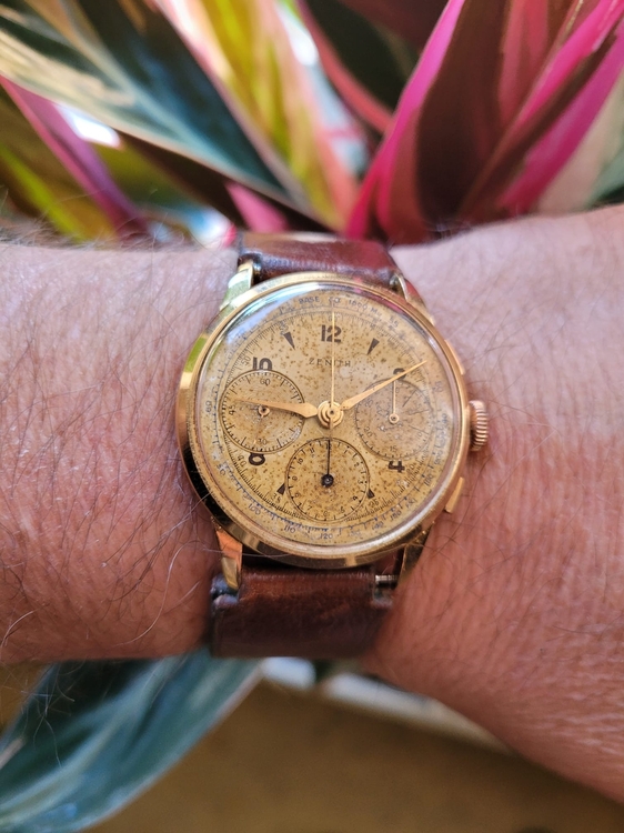 WhatsApp Image 2025-03-19 at 15.23.31.jpeg