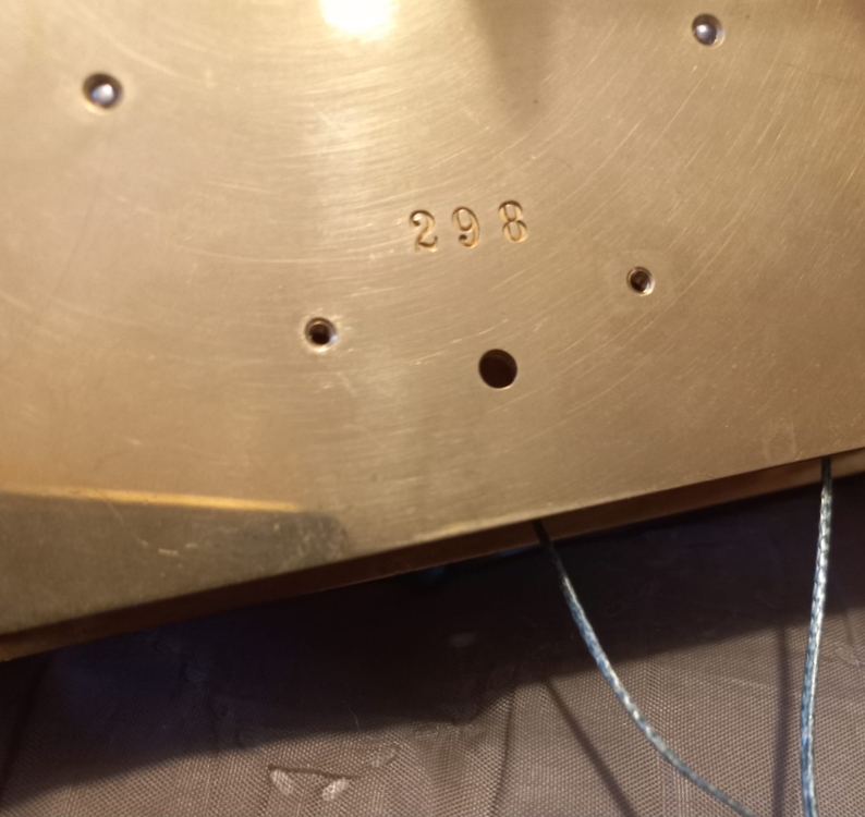 Zdjęcie WhatsApp 2025-10-20 o 17.04.48_9befdc7e.jpg