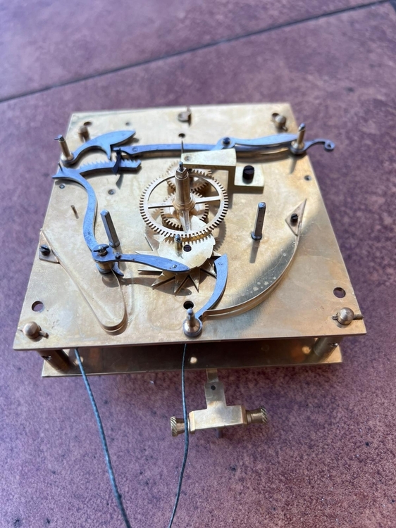 Zdjęcie WhatsApp 2025-10-20 o 17.03.37_16c99dcd.jpg