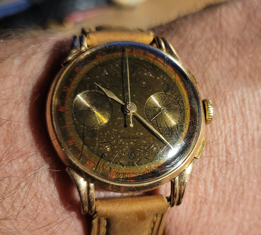 WhatsApp Image 2025-12-06 at 01.36.35.jpeg